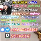 Safe delivery CAS 119276 - 01 - 6 China Factory