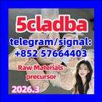 5CL-ADB supplier 5cladba 5cladb vendor on sale