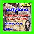 Eutylone Bk-ebdb Cas 802855-66-9/17764-18-0 at Best Price