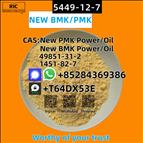 5449-12-7 New B.M.K Glycidic Acid Powder