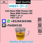 2-Bromovalerophenone 49851-31-2 B.MK P.MK Source Factory