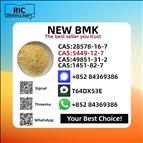 5449-12-7 New B.MK Glycidic Acid Powder