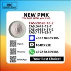 Ethyl Glycidate 28578-16-7 New P.MK Power