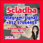 5cladba 5cladba Yellow Powder 5CL-ADB-A 5F-Adb 5Fadb