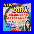 cas 5449-12-7 BMK Powder glycidate Bmk Glycidic Acid - Hong Kong