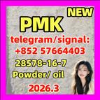 Hot Selling Pharmaceutical Intermediates EU Russian PMK CAS 28578-16-7