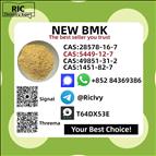 How to buy Hot sales New B.MK Power CAS 5449-12-7