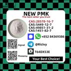 Ethyl Glycidate 28578-16-7 New P.MK Power