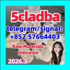 5CL-ADB-A powder 5-cl-adb-a Research Chemical Powders 5cladba Hot