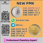 China Reliable Supplier PM.K CAS 28578-16 -7
