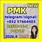 PMK ethyl glycidate (NSC 195099, CAS Number: 28578-16-7)