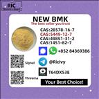 5449-12-7 New B.MK Glycidic Acid Powder