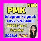 CAS 28578-16-7 99% High Purity PMK Ethyl Glycidate Organic PMK Powder