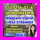 Protonitazene hydrochloride CAS#: 119276-01-6