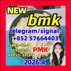 Wholesale CAS 5449-12-7 BMK 753741 Glycidic Acid (sodium Supplier