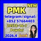 Buy Top Quality PM.K CAS 28578-16-7