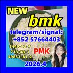 5449-12-7 BMK Glycidic Acid (sodium salt)