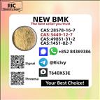 Best Price CAS 49851-31-2 High Purity B.MK