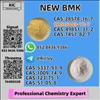 5449-12-7 New B.MK Glycidic Acid Powder