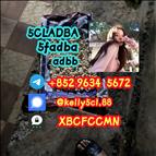 5cladba 5cl yellow powder 5cladba from best supplier