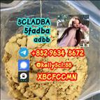 cas-137350-66-4-5cladb-5cl-adb-a-5cladba-factory-supply