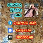 5CL-ADB supplier 5cladba 5cladb vendor on sale now