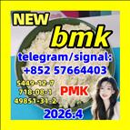 5449-12-7 BMK Glycidic (sodium salt) 5449-12-7