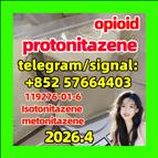CAS 119276-01-6 Protonitazene (hydrochloride