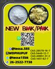 28578-16-7 BMK Powder 5449-12-7 99% Pure and New PM.K Abtweiler