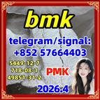 Bmk Oil Acid Cas: 5449-12-7 New Bmk Powder Strong Effect Factory Large Supply Bmk -