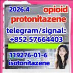 CAS: 119276-01-6 Protonitazene (hydrochloride)