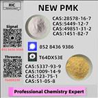 Master-Grade Bulk Supply 1451-82-7 B.MK 5449-12-7 With PMK 28578-16-7