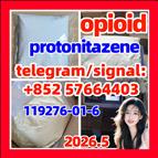 Cas 119276-01-6 Protonitazene (Hydrochloride)