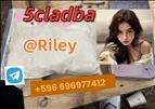 5CLADBA 5cl adba 5cladba