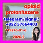 High quality CAS:119276-01-6 Protonitazene