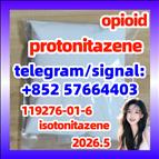CAS: 119276-01-6 Protonitazene (hydrochloride) 现货